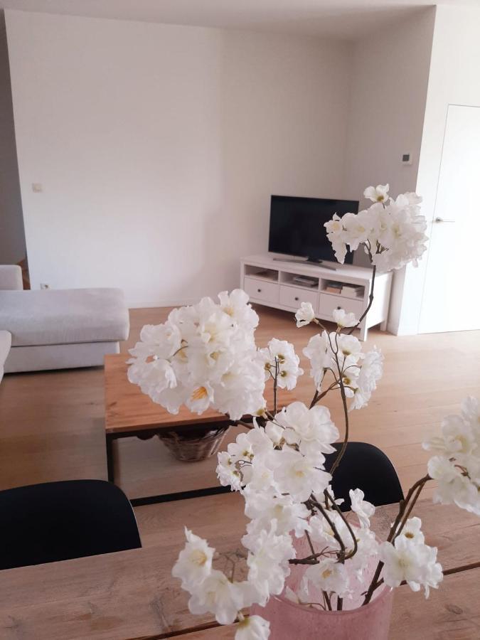 Luxe Duplex Appartement Mavi Gistel Exterior foto